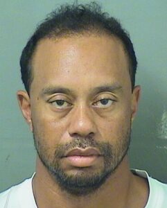 pbc booking blotter pbc booking blotter